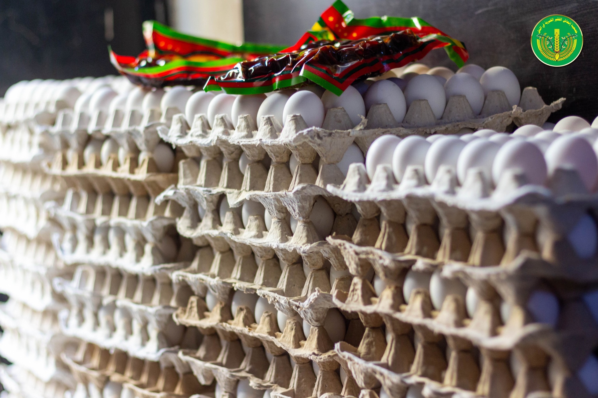 الانتهاء من توزيع المساعدات المالية والعينية للشهر الرابع للمدرجين والأيتام.💚✨